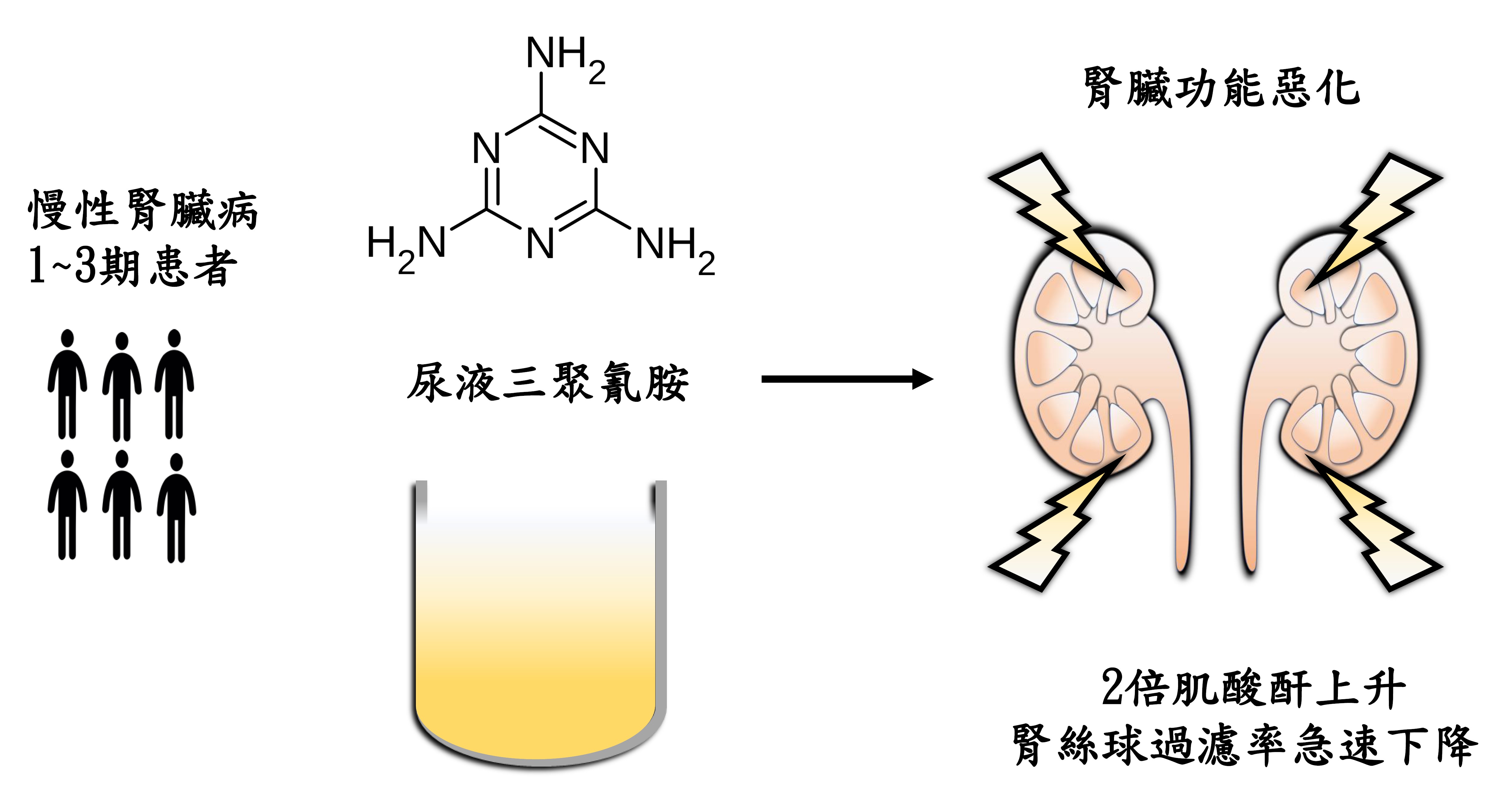 08 蔡宜純 早期慢性腎臟病