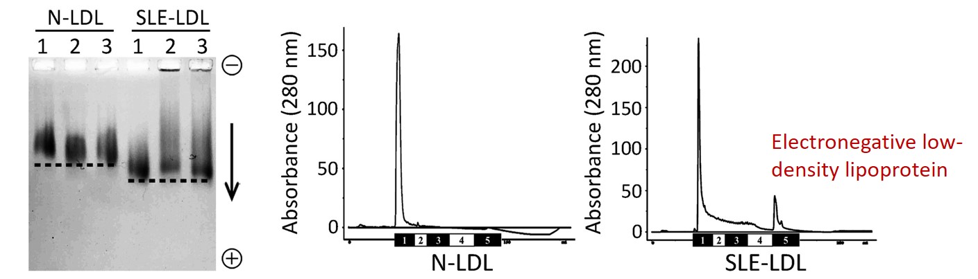 A210701 Fig1