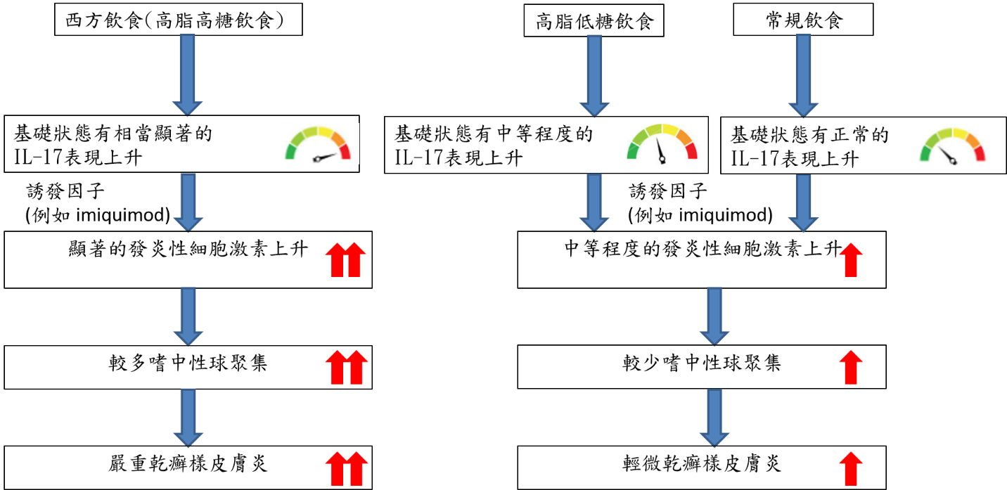 02 圖示 乾癬