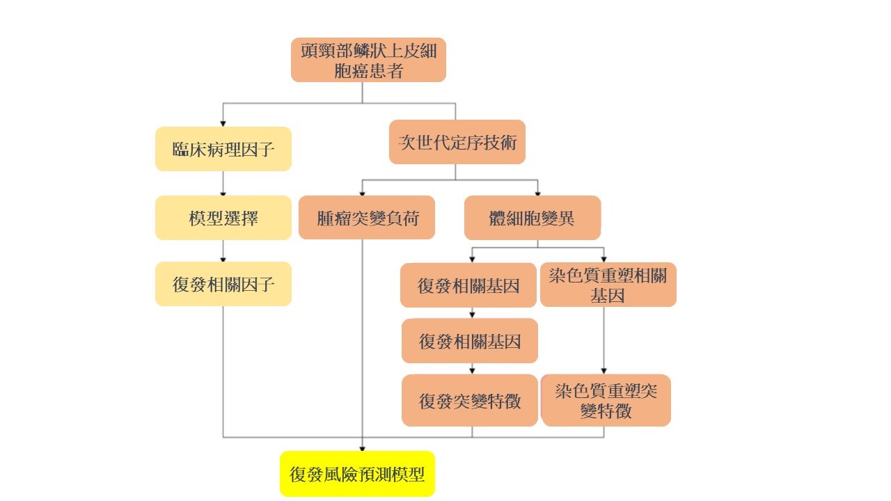 王慧晶 中文