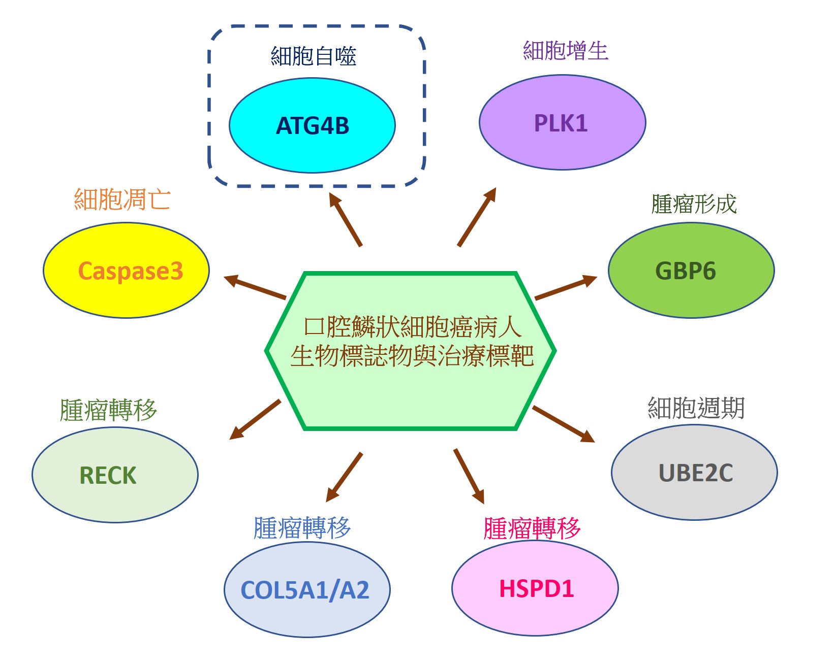 02 劉佩芬 CH口腔鱗狀細胞癌治療的新契機01