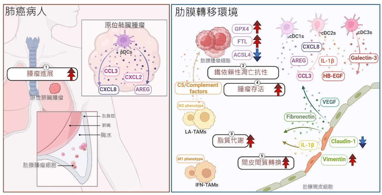 許雅玲 中