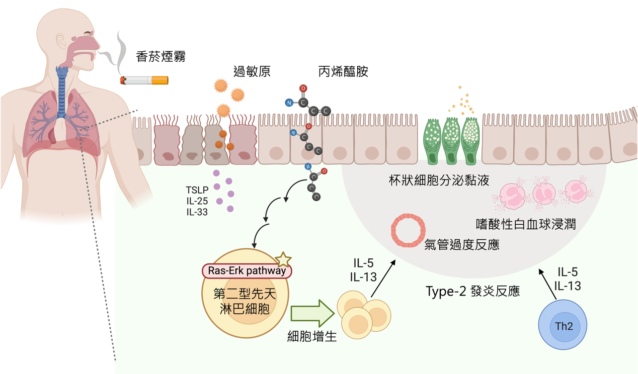 孫昭玲 中文