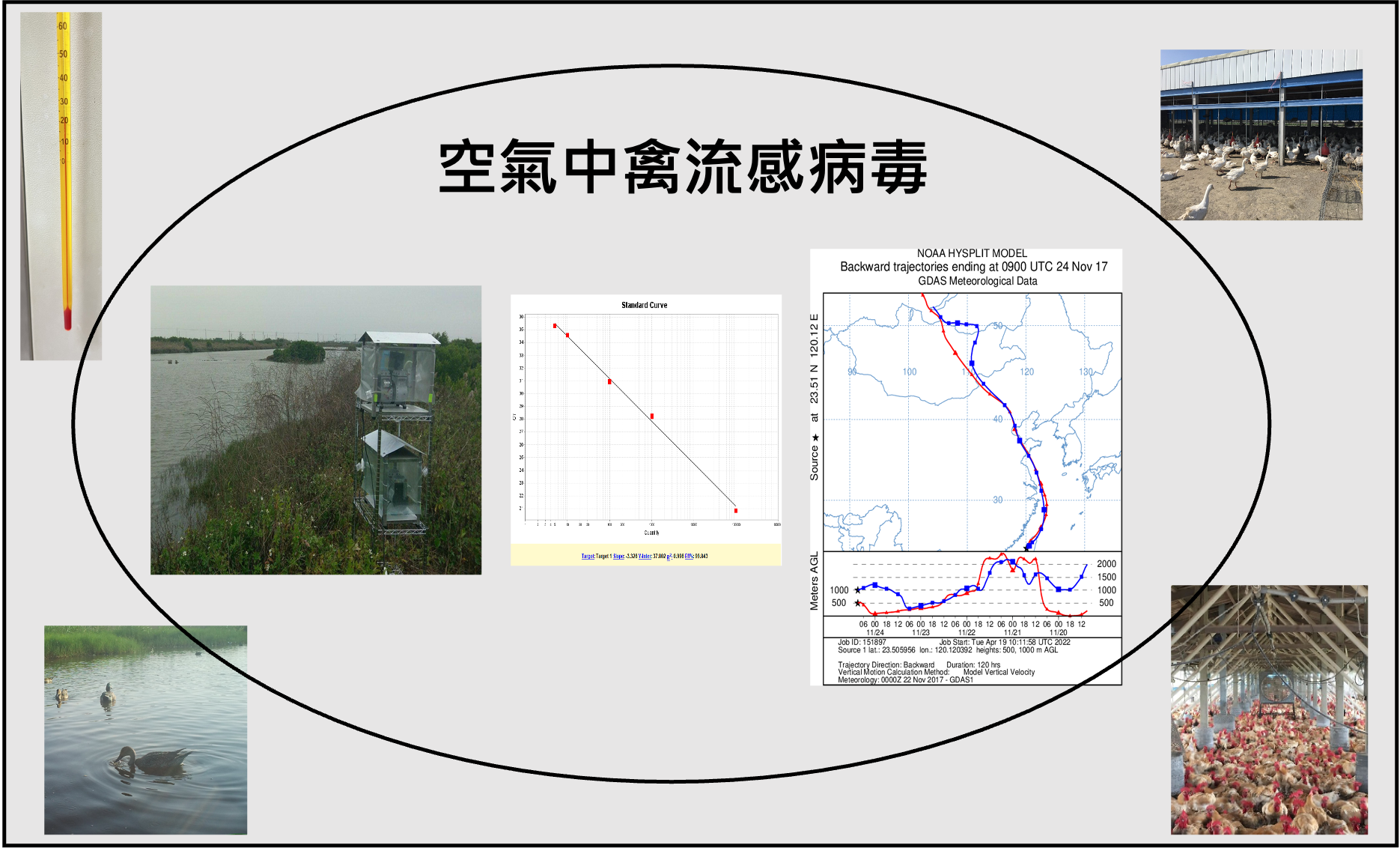 陳培詩 中文